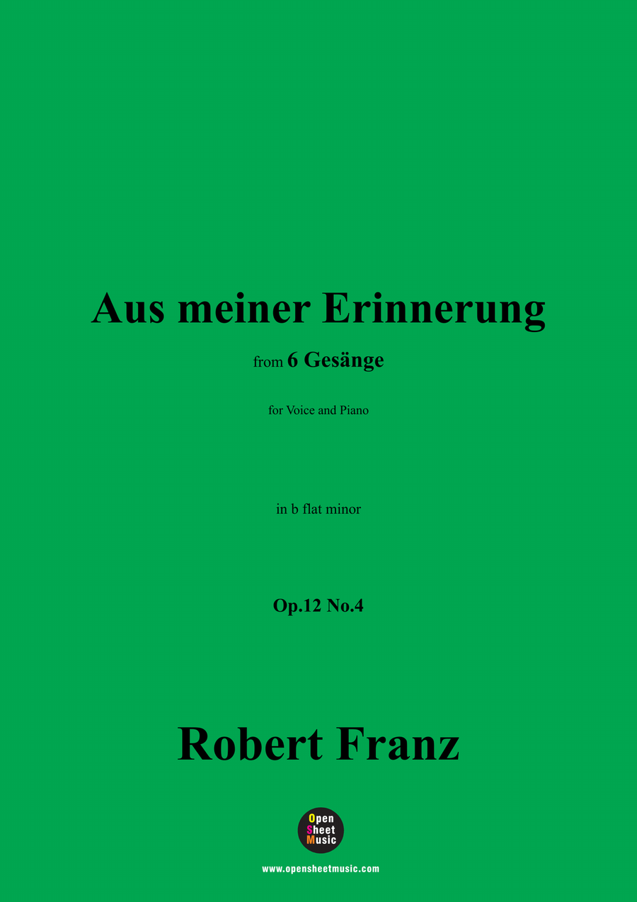 R. Franz-Aus meiner Erinnerung,in b flat minor Piano, Vocal scores gallery preview page 1