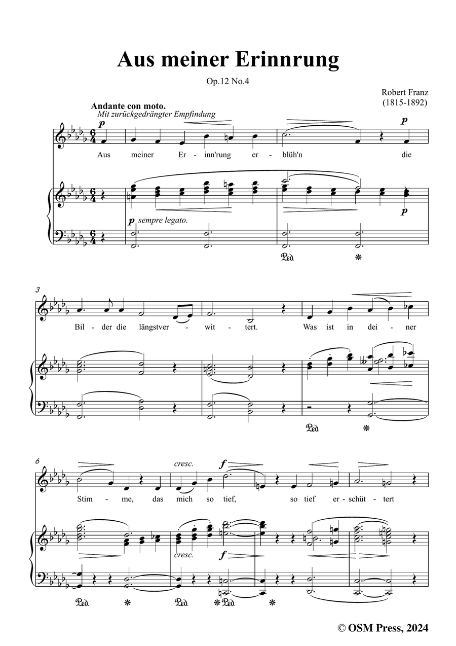 R. Franz-Aus meiner Erinnerung,in b flat minor Piano, Vocal scores gallery preview page 3