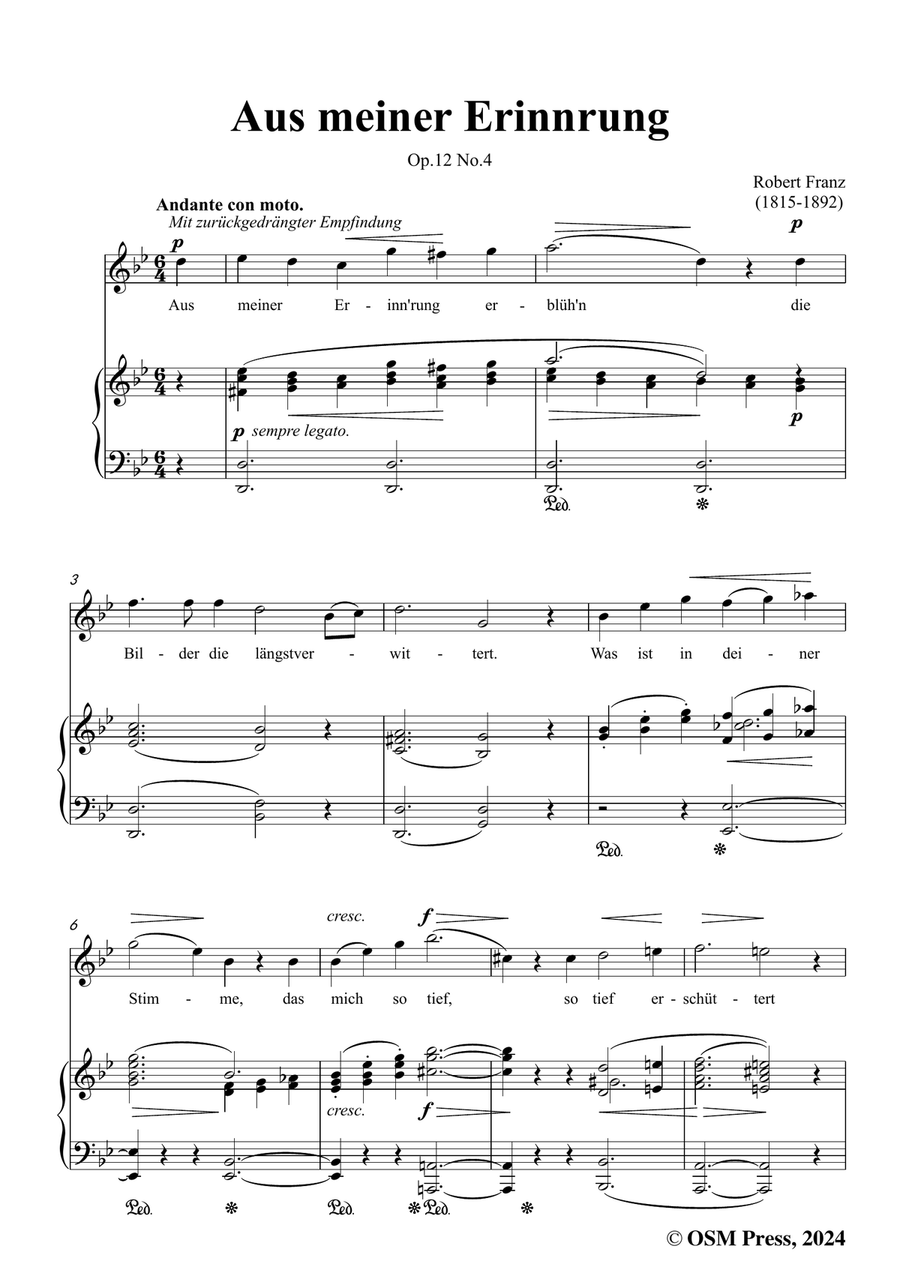 R. Franz-Aus meiner Erinnerung,in g minor Piano, Vocal scores gallery preview page 3