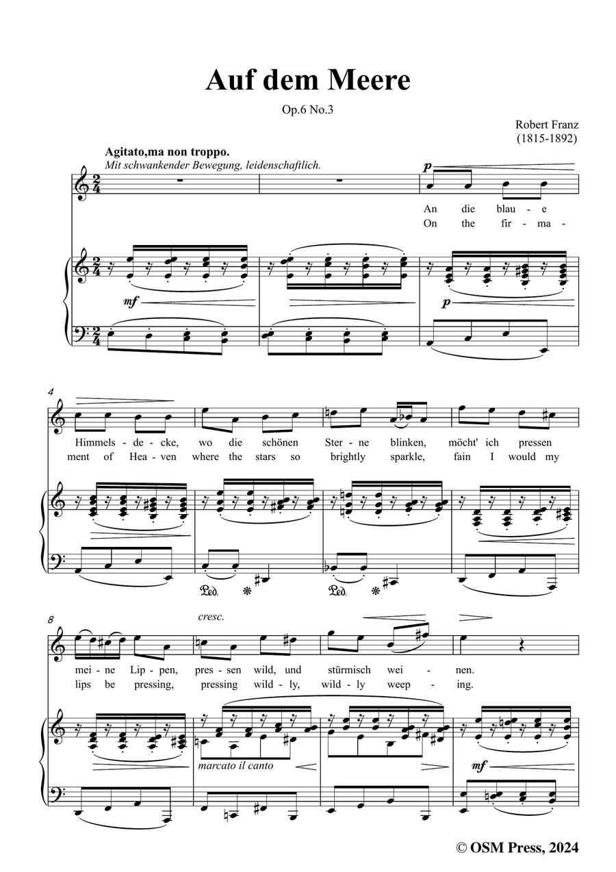 R. Franz-Auf dem Meere,in a minor Piano, Vocal scores gallery preview page 3