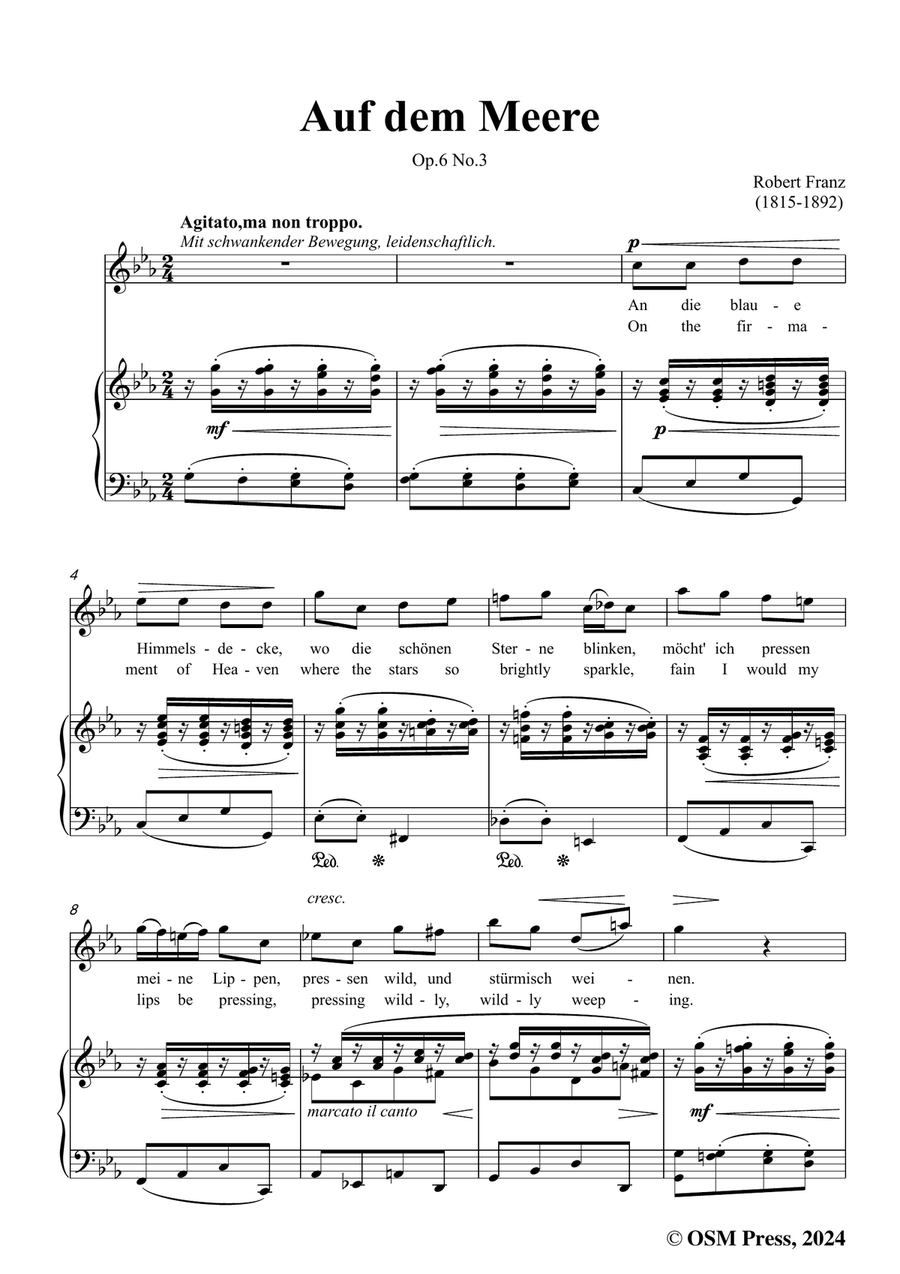 R. Franz-Auf dem Meere,in c minor Piano, Vocal scores gallery preview page 3