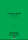 U. Giordano-Come un bel di,in b flat minor