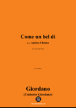U. Giordano-Come un bel di,in b minor