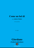 U. Giordano-Come un bel di,in e minor