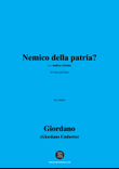 U. Giordano-Nemico della patria?,in e minor