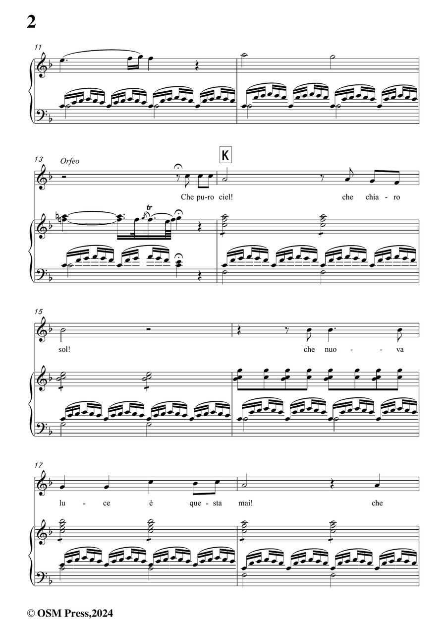 C. W. Gluck-Che puro ciel,in d minor Piano, Vocal scores gallery preview page 4