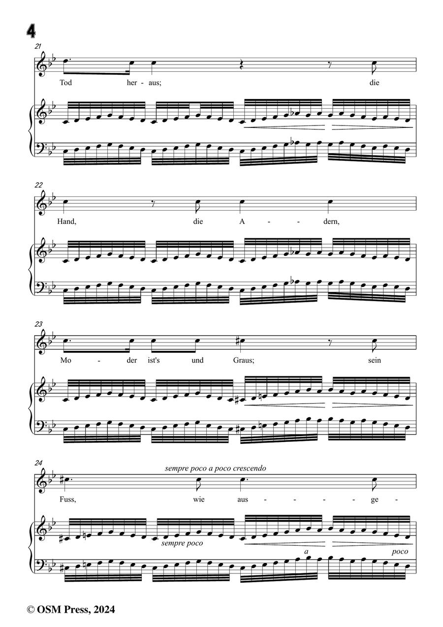 C. Loewe-Saul und Samuel,in g minor Piano, Vocal scores gallery preview page 6