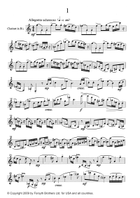 Flights of Fancy - for Solo Clarinet B-Flat Clarinet scores gallery preview page 4