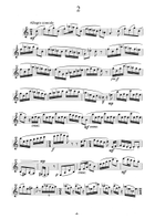 Flights of Fancy - for Solo Clarinet B-Flat Clarinet scores gallery preview page 6