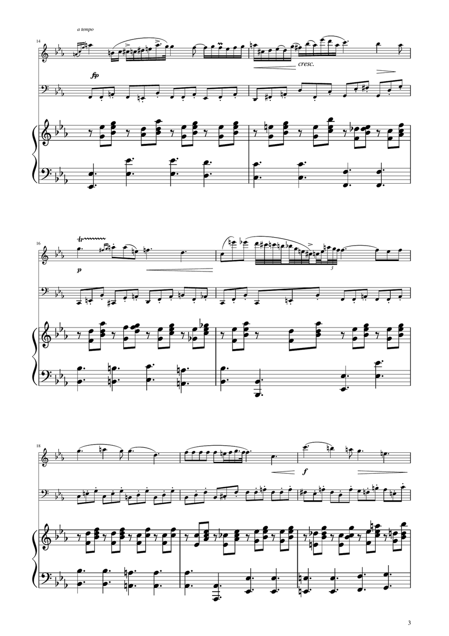 Chopin - Nocturne op.9 No.2 - Flute and Bassoon Duet Woodwind Duet scores gallery preview page 3