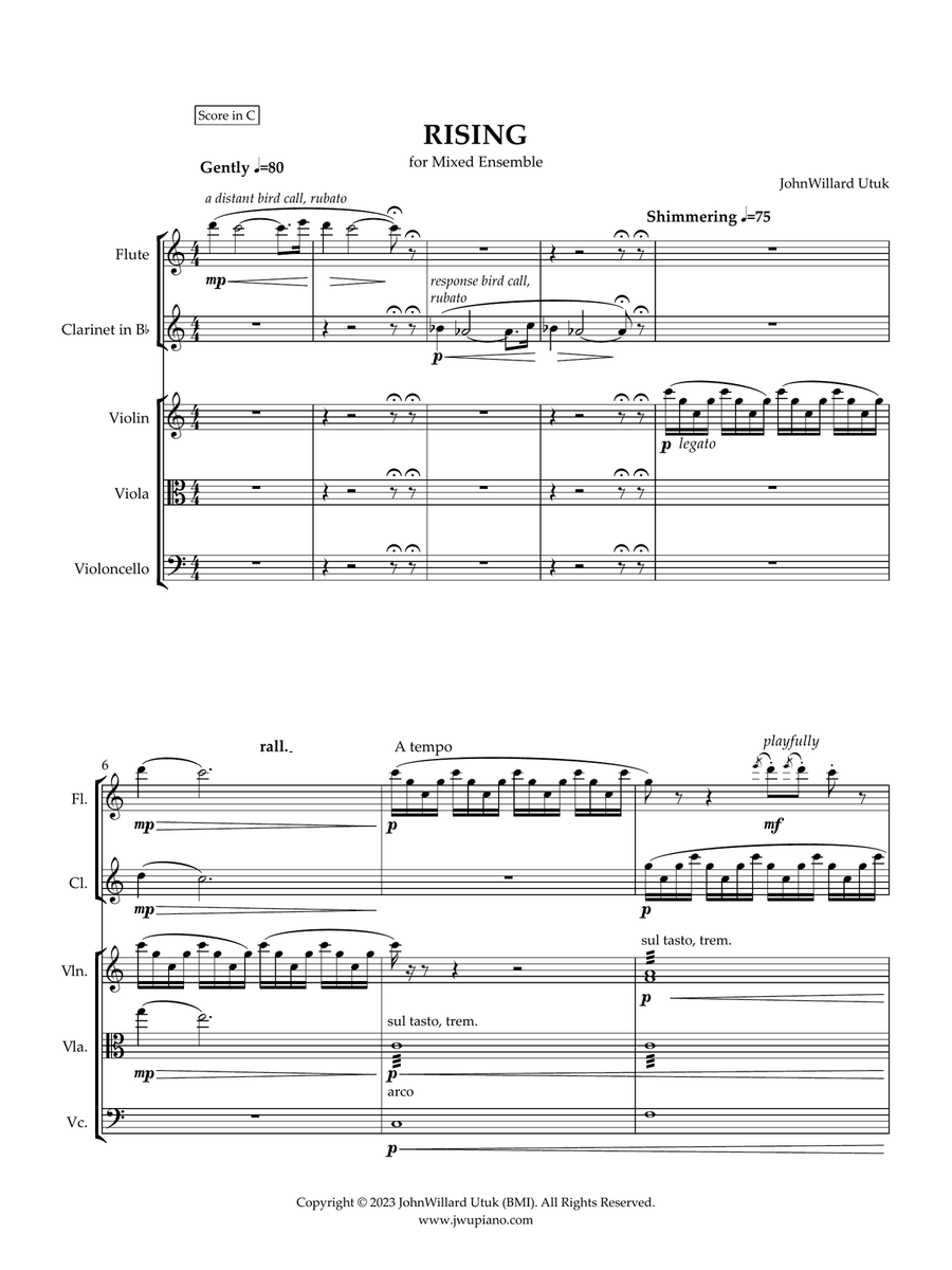 RISING (for flute, clarinet, violin, viola, cello) Small Ensemble scores gallery preview page 4