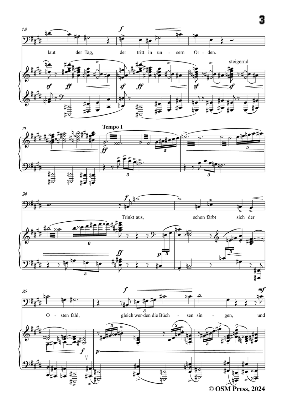 Schoenberg-Der verlorene Haufen,in c sharp minor Piano, Vocal scores gallery preview page 5