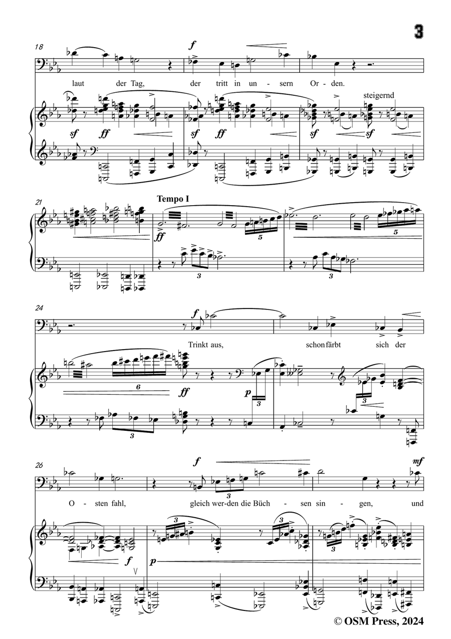 Schoenberg-Der verlorene Haufen,in c minor Piano, Vocal scores gallery preview page 5