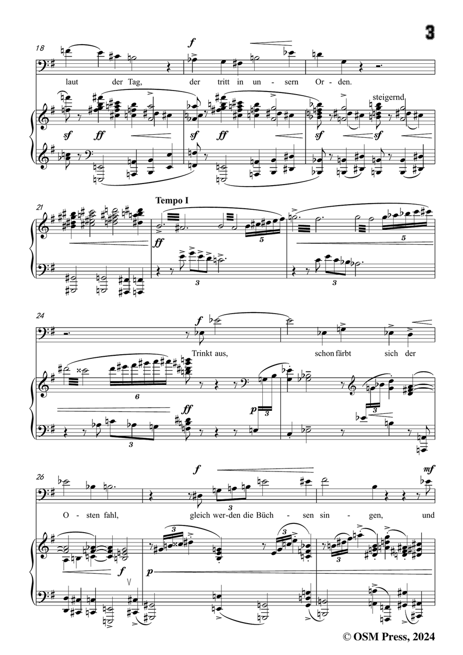 Schoenberg-Der verlorene Haufen,in e minor Piano, Vocal scores gallery preview page 5