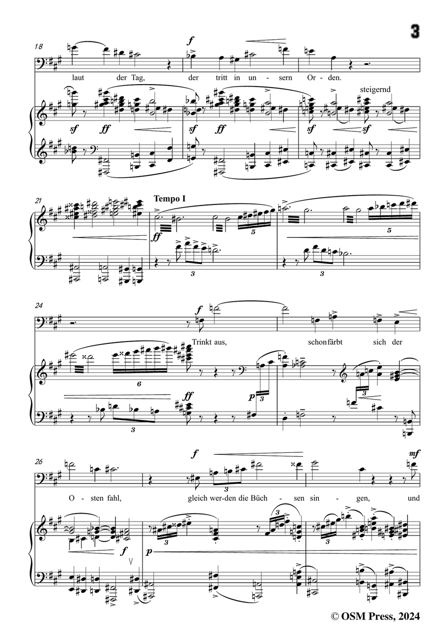 Schoenberg-Der verlorene Haufen,in f sharp minor Piano, Vocal scores gallery preview page 5