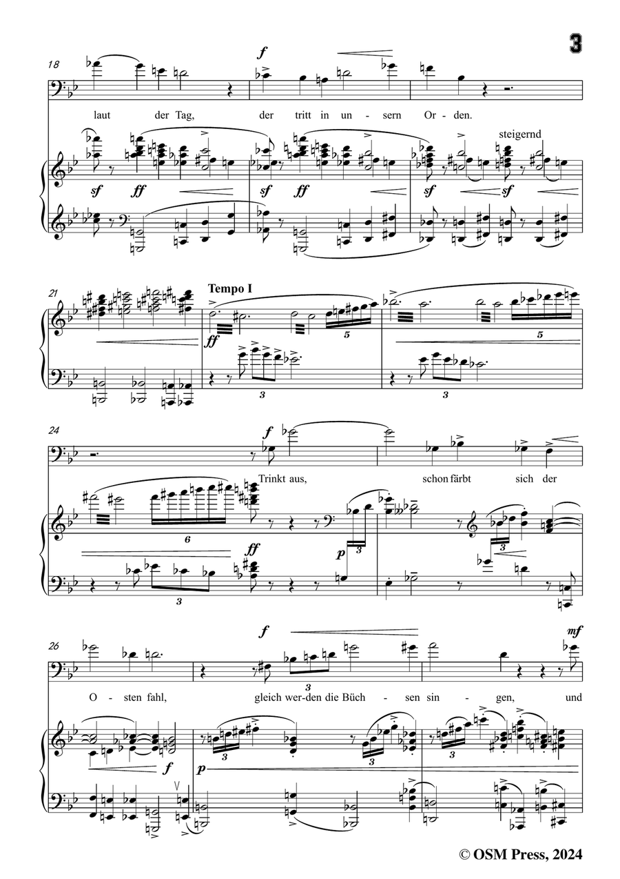 Schoenberg-Der verlorene Haufen,in g minor Piano, Vocal scores gallery preview page 5