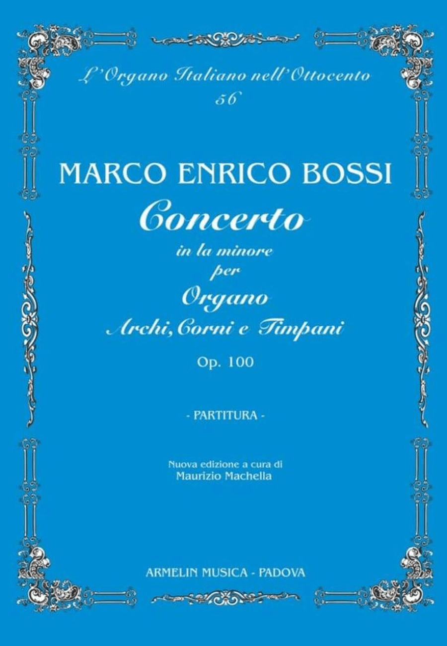 Concerto in La Minore Concerto in La Minore Orchestra scores gallery preview page 1