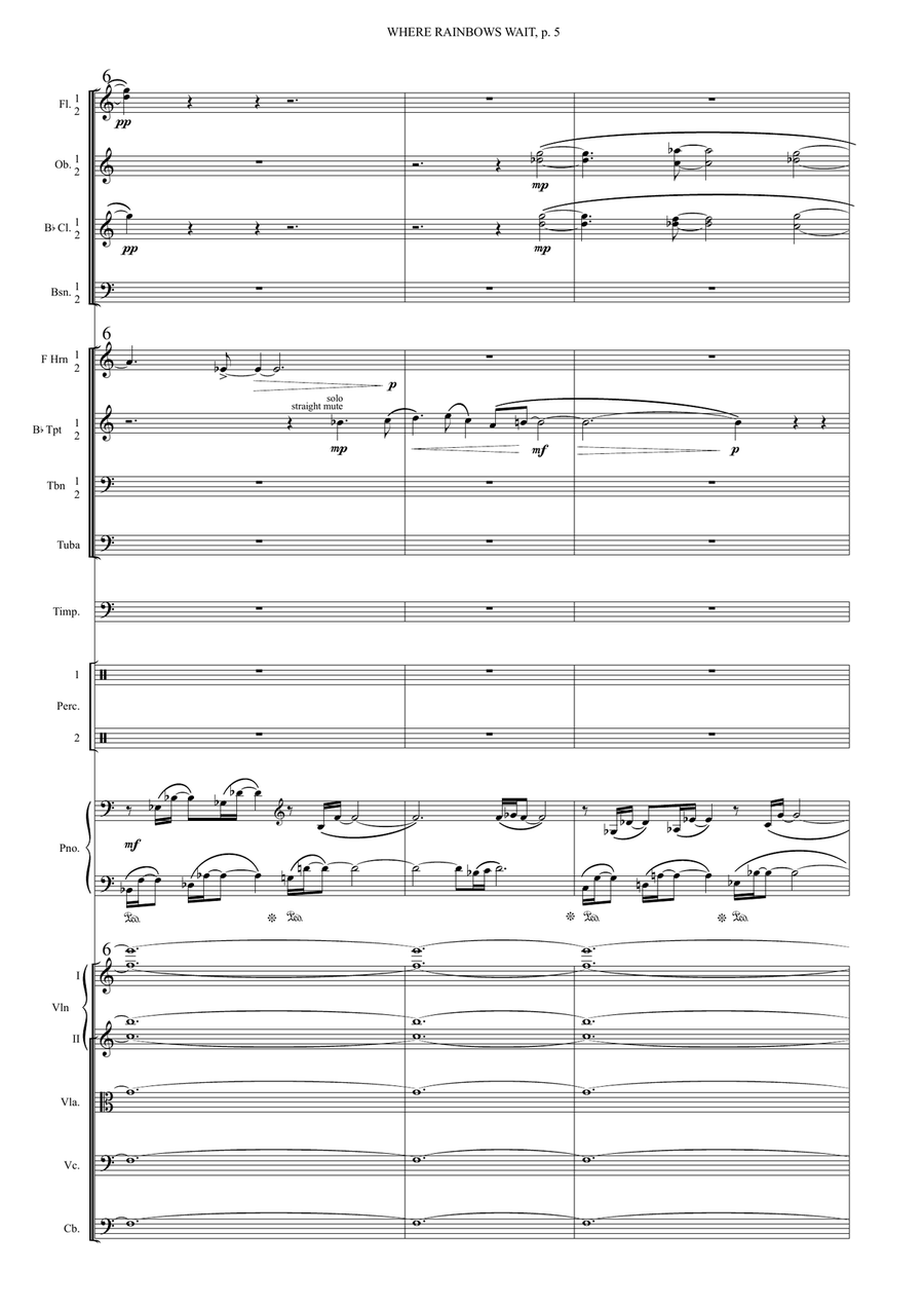 Where Rainbows Wait for Rain - The Big Bend Country Full Orchestra scores gallery preview page 5