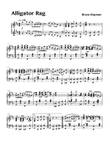 Alligator Rag