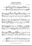 Cello Sonata in B Minor