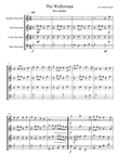 The wellerman sea shanty