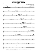 Somewhere Only We Know Flute Solo scores gallery preview page 4