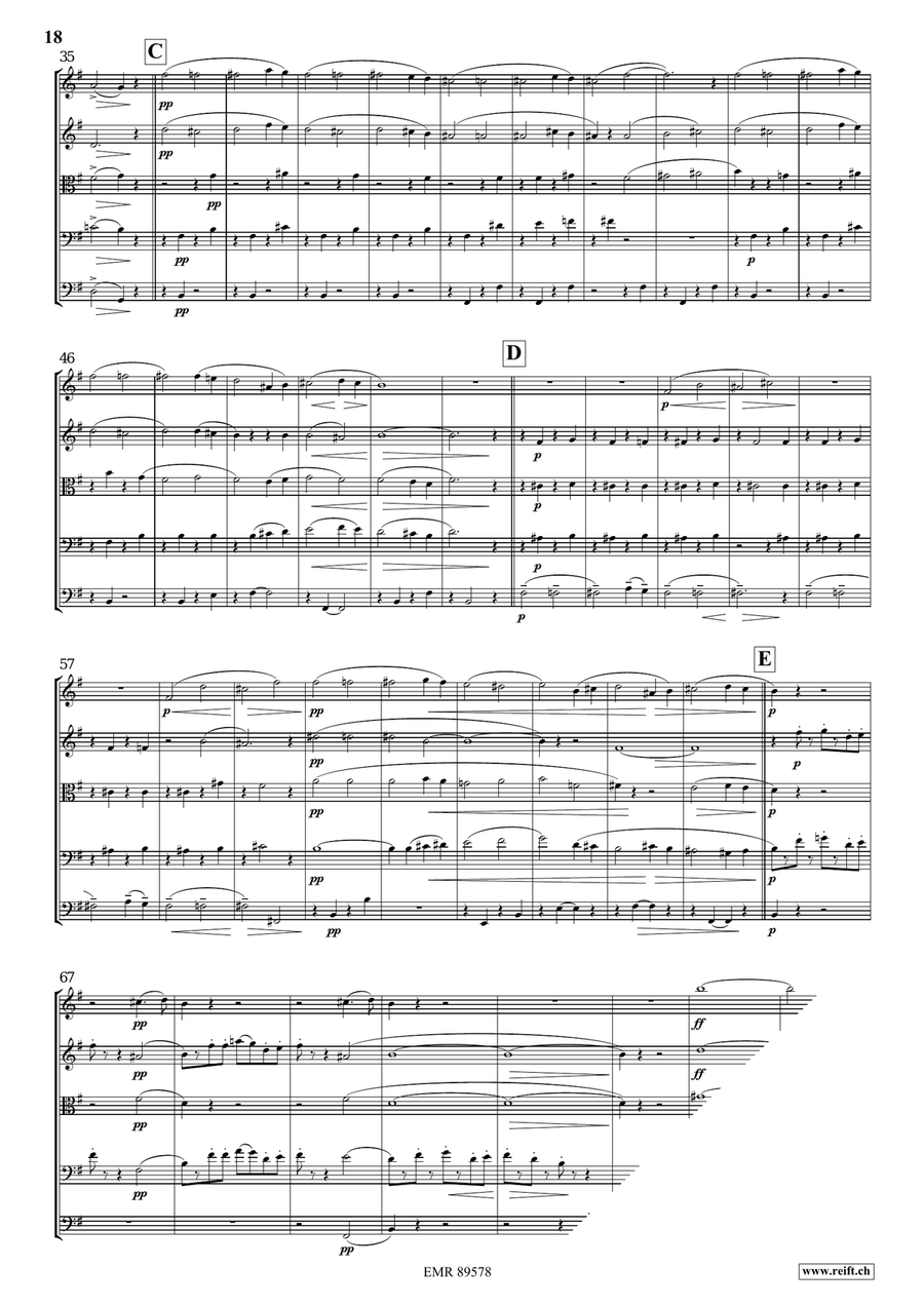 Quintet No. 3, Op. 7 Quintet No. 3, Op. 7 String Orchestra scores gallery preview page 9