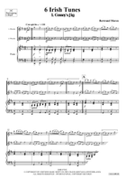 6 Irish Tunes Piccolo scores gallery preview page 4