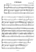 6 Irish Tunes Clarinet scores gallery preview page 9