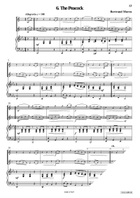 6 Irish Tunes Tenor Saxophone scores gallery preview page 9