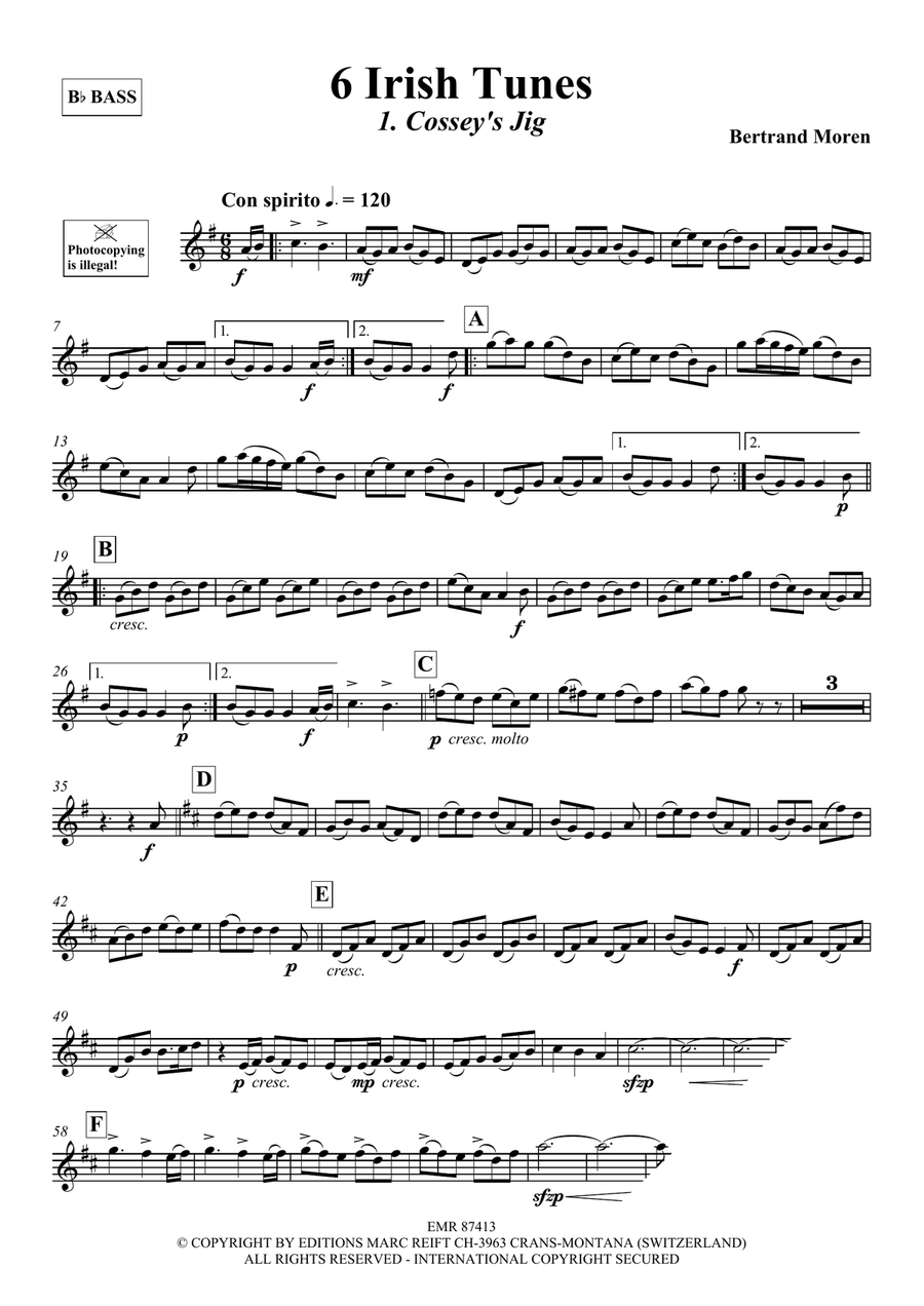 6 Irish Tunes 6 Irish Tunes Voice Solo scores gallery preview page 4