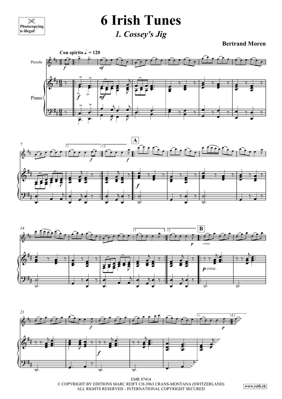 6 Irish Tunes 6 Irish Tunes Piccolo scores gallery preview page 5