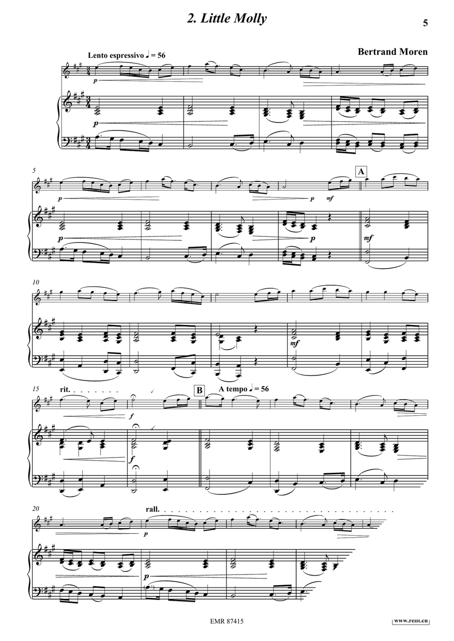 6 Irish Tunes 6 Irish Tunes Flute Solo scores gallery preview page 6
