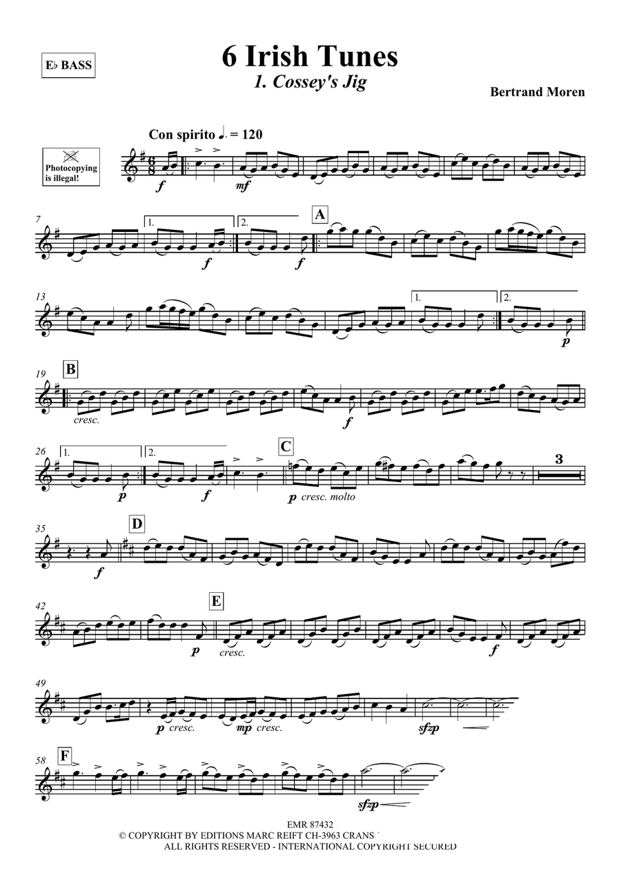 6 Irish Tunes 6 Irish Tunes Voice Solo scores gallery preview page 4