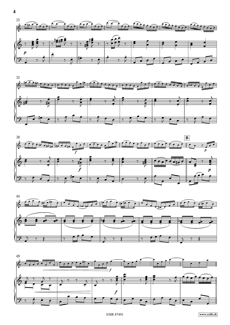 Concerto No. 1 Concerto No. 1 Flute Solo scores gallery preview page 5