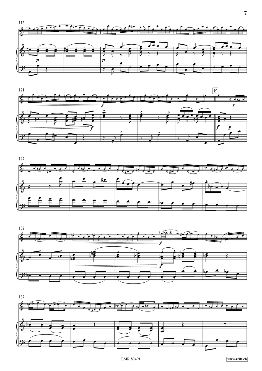 Concerto No. 1 Concerto No. 1 Flute Solo scores gallery preview page 8