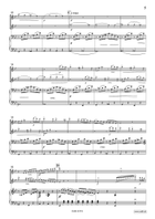 Concertpiece No. 2 Flute Duet scores gallery preview page 5