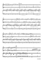 Concertpiece No. 2 Piccolo scores gallery preview page 5