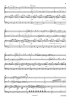 Concertpiece No. 2 Piccolo scores gallery preview page 5