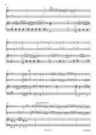 Concertpiece No. 2 Bassoon scores gallery preview page 6