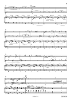 Concertpiece No. 2 Piano Accompaniment scores gallery preview page 5
