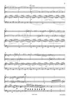 Concertpiece No. 2 Bassoon scores gallery preview page 5