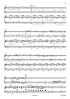 Concertpiece No. 2 Bassoon scores gallery preview page 5