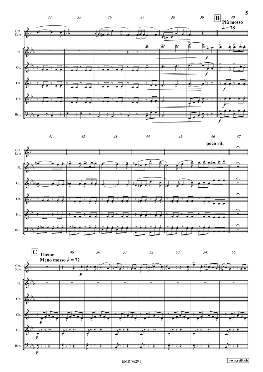 Carnival Of Venice Carnival Of Venice Woodwind Quintet scores gallery preview page 5