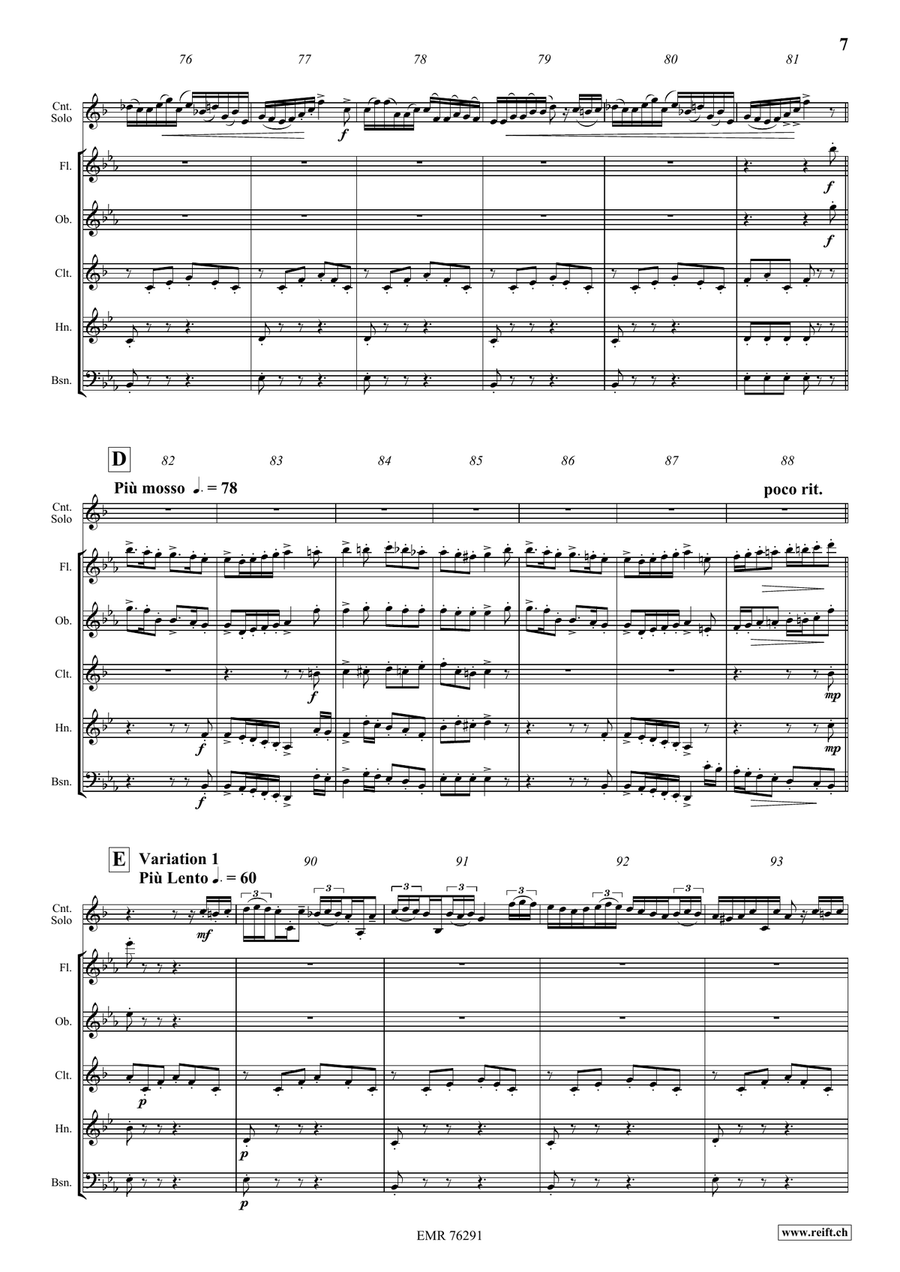 Carnival Of Venice Carnival Of Venice Woodwind Quintet scores gallery preview page 7