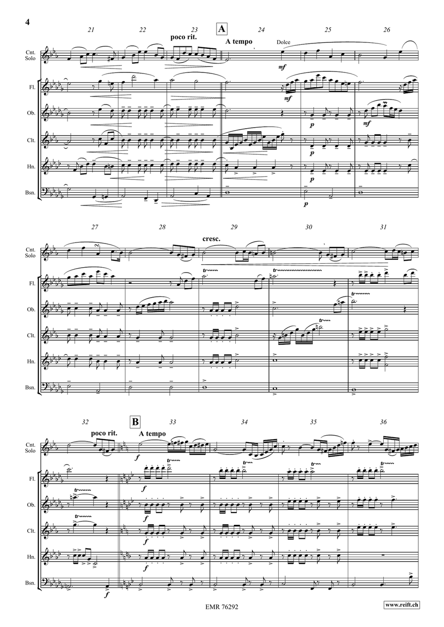 Fantaisie Brillante Fantaisie Brillante Woodwind Quintet scores gallery preview page 4