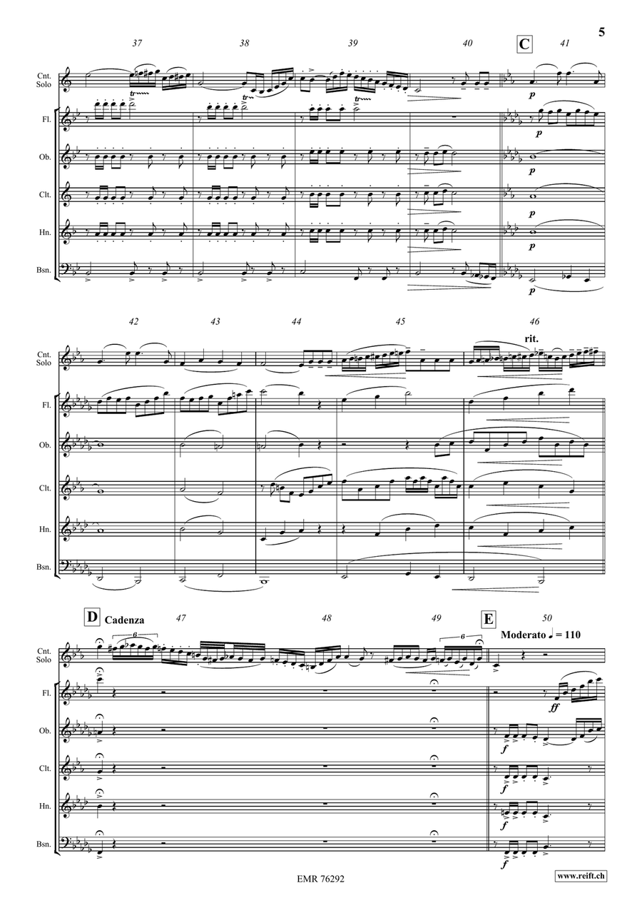 Fantaisie Brillante Fantaisie Brillante Woodwind Quintet scores gallery preview page 5