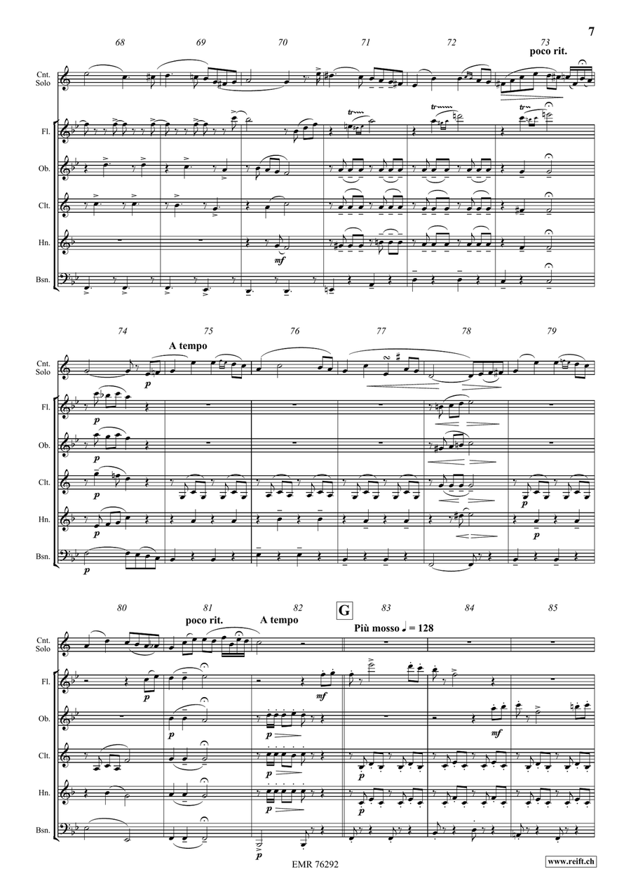 Fantaisie Brillante Fantaisie Brillante Woodwind Quintet scores gallery preview page 7