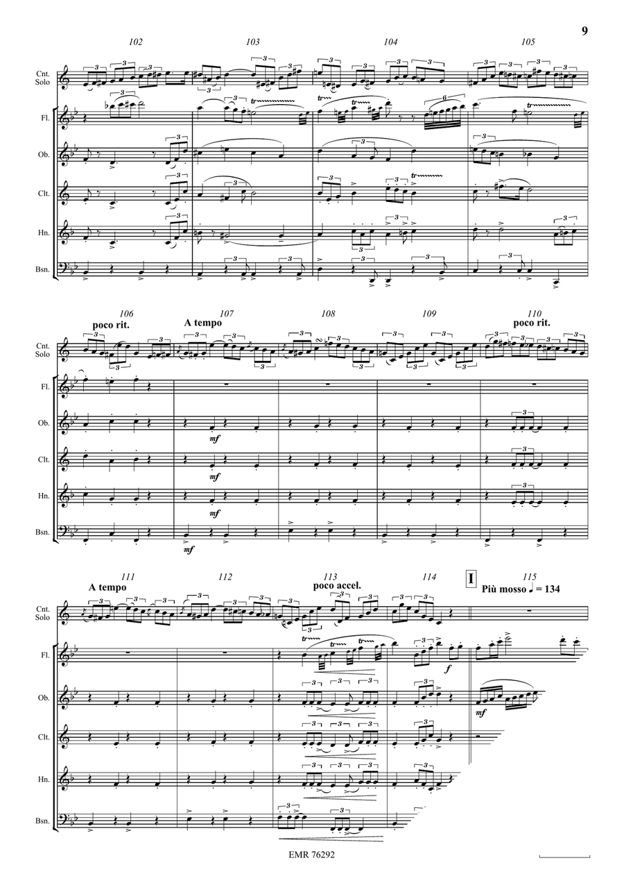 Fantaisie Brillante Fantaisie Brillante Woodwind Quintet scores gallery preview page 9