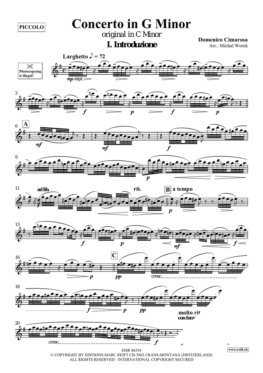 Concerto in G Minor Concerto in G Minor Piccolo scores gallery preview page 3